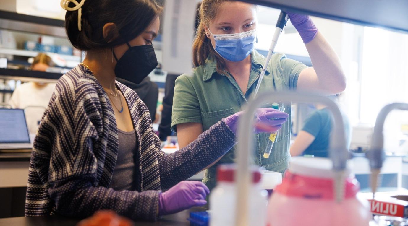 Students in a molecular biology class at the Nucleus pipette liquid into a test tube.